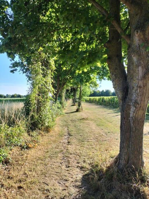 Cosy Cottage With Vineyard View Near Goodwood Chichester Exteriér fotografie